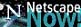 Download latest Netscape browser